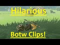 Hilarious Botw Clips!