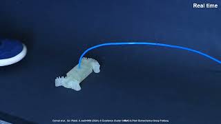 3D Printed Pneumatic Logic (Electronics-Free) in Action: Soft Robot Made with Filaflex 70A screenshot 4