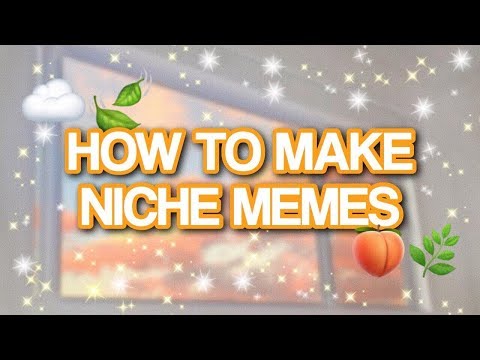 how-to-make-niche-memes-//-editing-tutorial