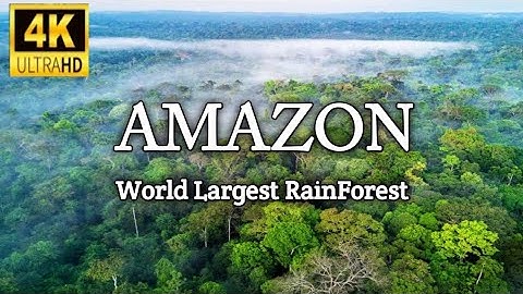 Amazon 4K - The World