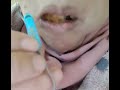 صوت ضغمة ديال طاكوس 