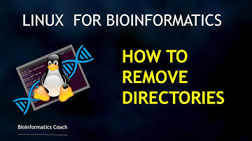 Linux for Beginners | How to remove files & directories (rm & rmdir & rm -fr )
