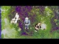 Southern Culture On The Skids - Grey Skies