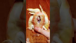 Up45httpsyoutubecomshorts6x2r1afcmv8silejtkzptbt3tvuzd