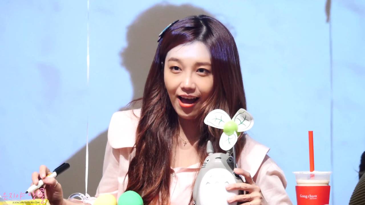 160501 정은지 1st DREAM 용산 팬싸인회 직캠