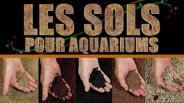 Quel sol pour les corydoras ?