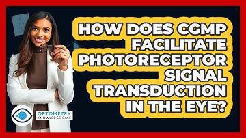 How Does cGMP Facilitate Photoreceptor Signal Transduction In The Eye? - Optometry Knowledge Base
