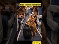 A Baby Monkey’s Honest Act Made Everyone Cry 😭✈️ #shorts #viral