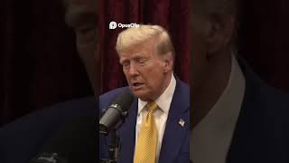 Famous The Apprentice: How I Left for President #donaldtrump #joerogan #2020election Wealth