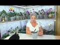 С Новым Годом и Рождеством !!! 😊 💮💐