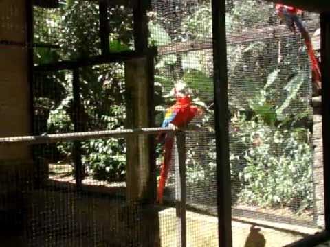 Nicolas e Rian - Santa Teresa - ES: Museu de Biologia Professor Mello Leitão