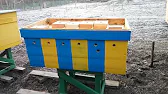 Антон Ковтун. Моя жизнь в деревне.