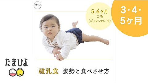 たまひよ 公式 Youtube