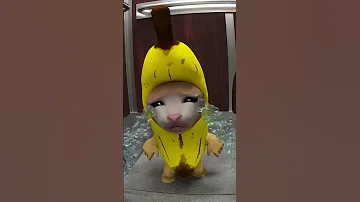 Banana Cat And Whiny Situation (Remastered)