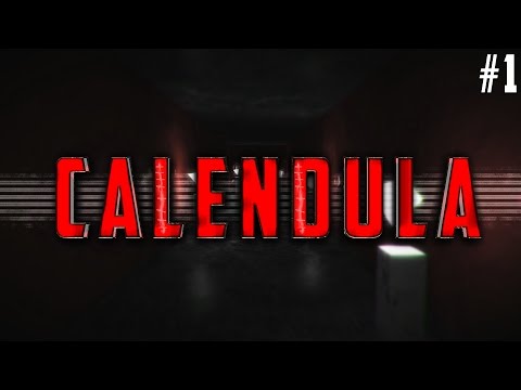 CALENDULA #1 | ИГРА УПРАВЛЯЕТ МНОЮ