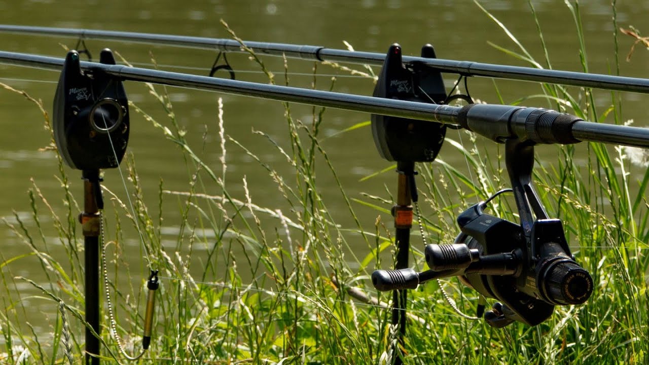 A DAYS FISHING ON THE A LAKE AT PITTLANDS LAKES