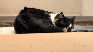 IMG 6516
