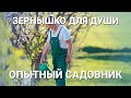 Зернышко для души. Опытный садовник.