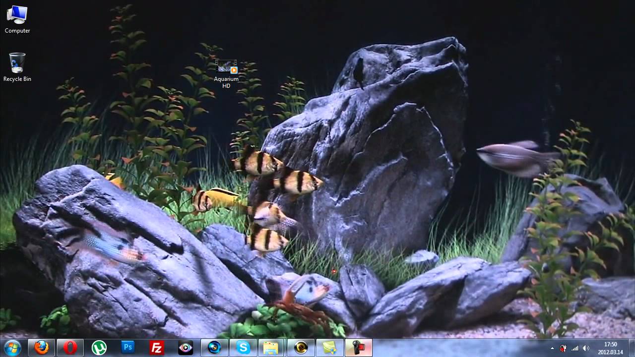 hd dreamscene on windows 7 aquarium youtube