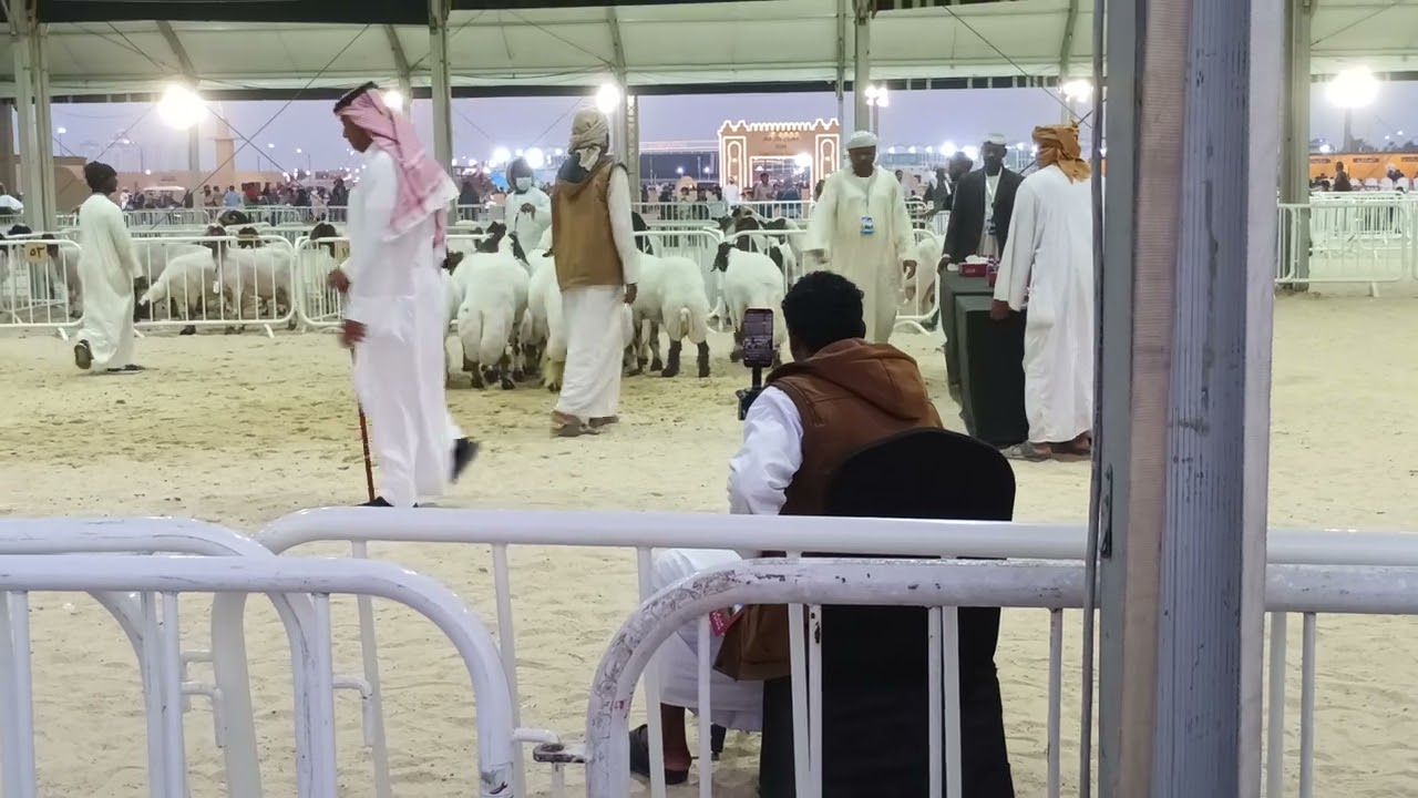 Halal  Qatara festival #,