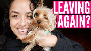 Avatar Nutrition & Leaving Again?