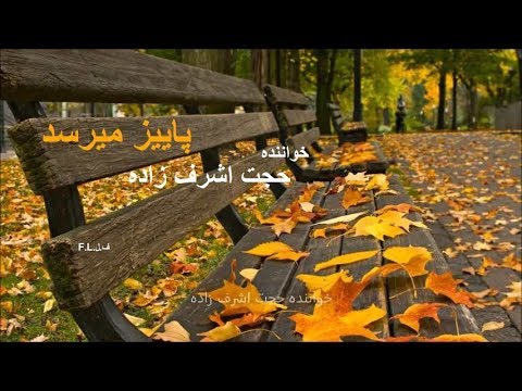 تصویری: اجبار لاله ها در پاییز