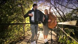 Adele   Rolling in the deep bandura and accordion cover B&B Project