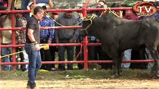 ¡MEMO OCAMPO FELIZ!! PUÑOS DE DIAMANTE VS MEÑO DE JALISCO LOS DESTRUCTORES EN COMACHUEN MICH 2022