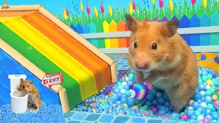 😱 Hamster Escape Maze - Hamster Cute pets Maze #hamsterescape #mazediytraps