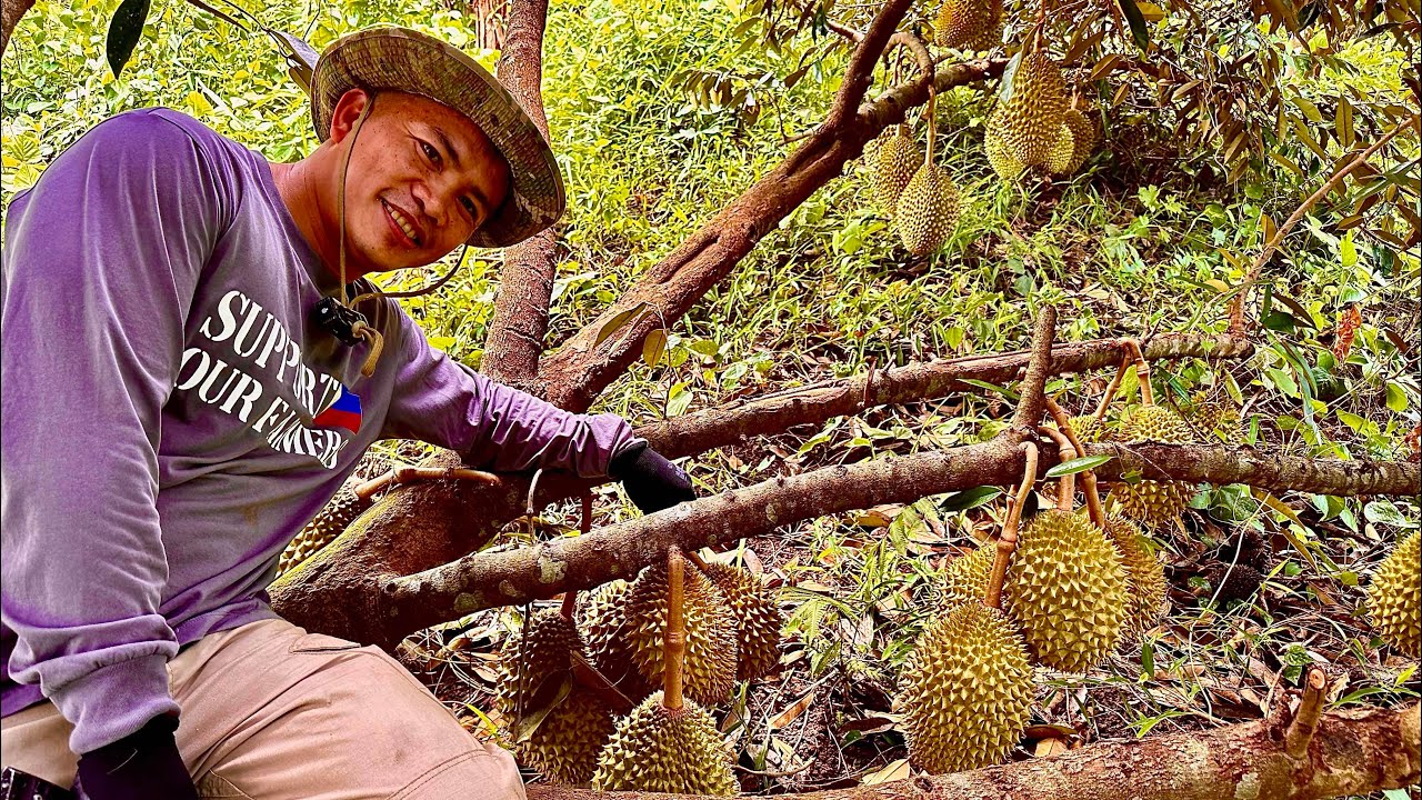 Reviving an Abandoned Orchard and Turning It Into a Productive Paradise Again!