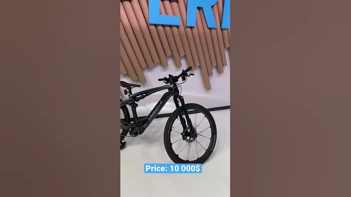 10 000$ PORSCHE ELECTRIC BIKE - 天天要闻