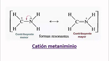 Quanto costa un punto organico?