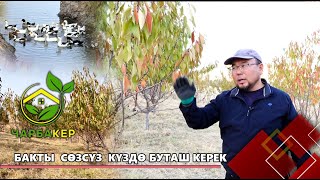 видео: Бакты сөзсүз күздө буташ керек // ЧАРБАКЕР берүүсү картинка: Бакты сөзсүз күздө буташ керек // ЧАРБАКЕР берүүсү