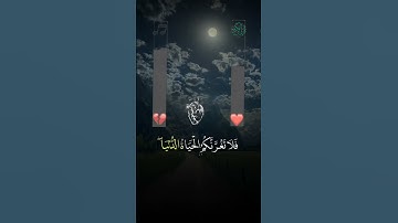 #قران كريم يريح القلب راحه نفسيه #المصحف #لايك #ادعموني ####