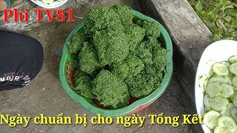 Phần Chuẩn Bị Cho Ngày Tổng Kết Cuối Năm (Phi TV81)