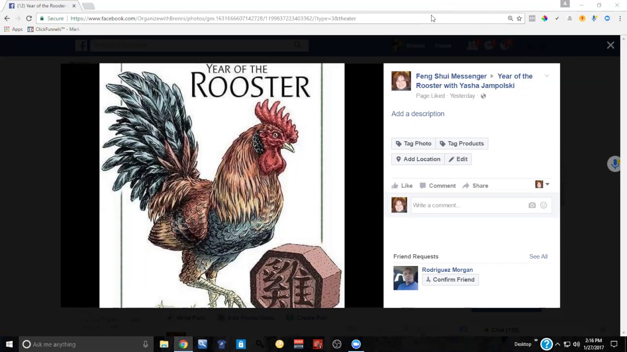 Yasha Jampolsky - Year of the Fire Rooster