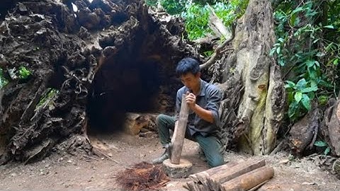 Xây dựng nơi trú ẩn dưới góc cây để sống sót một mình trong rừng mưa nhiệt đới