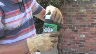 How to get rid of tree stumps ? | Video | Roundup Weedkiller
