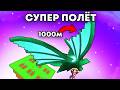 😱Можно ли Летать на WispWing в Grow a Garden в Роблокс?!