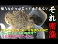【密漁】クリガニ釣る人は絶対みてください