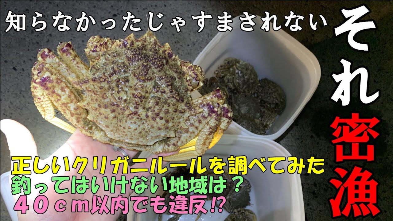 Download 今時期だけ クリガニ爆釣 Download 今時期だけ クリガニ爆釣