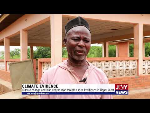 Climate Evidence: Climate change and land degradation threaten shea livelihoods in Upper West