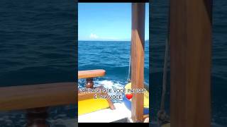 a frase que é para você pausar é  pra vc #shorts #frases #ediçãogringa #estilo #estilodevida screenshot 4