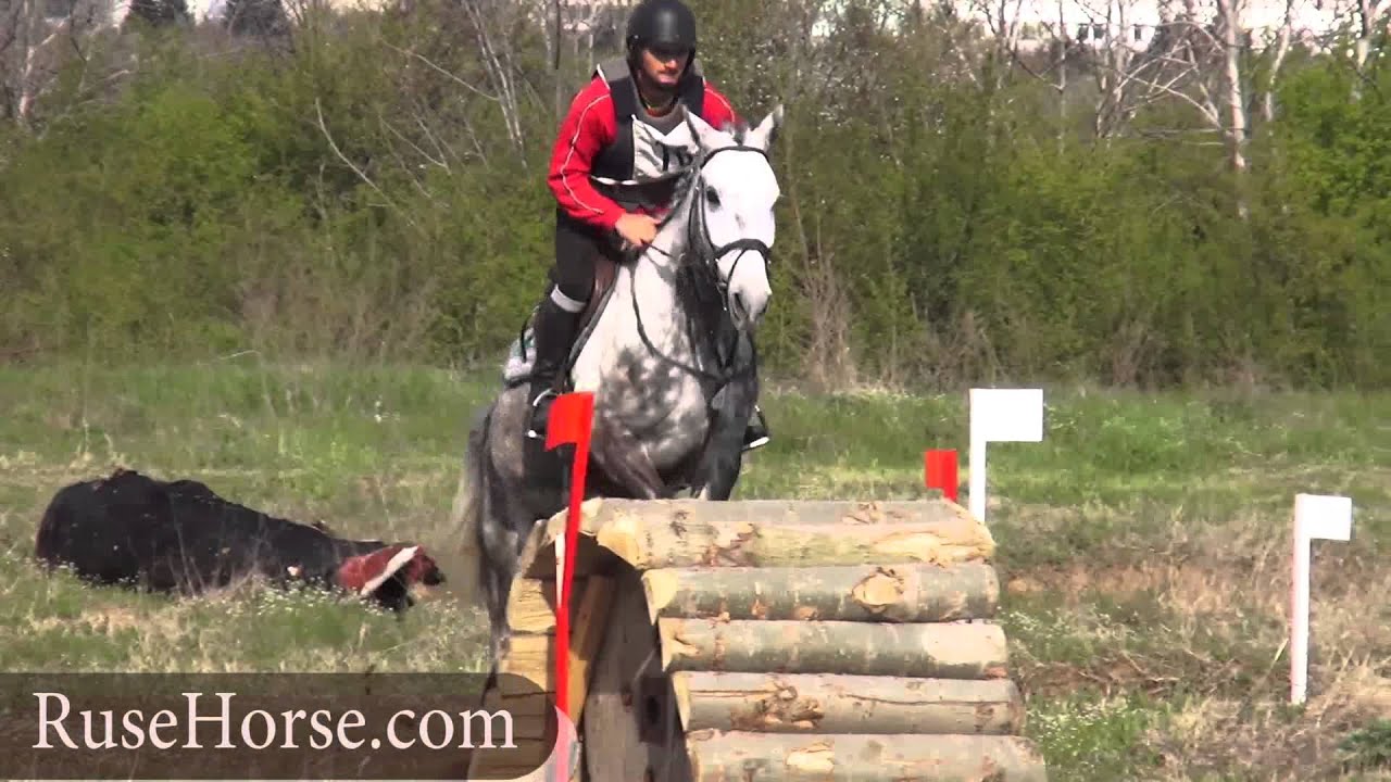 Crazy Horse Jumping YouTube