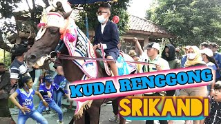 Kuda renggong "SRIKANDI" Ngelar di parugpug cijambe paseh part 2