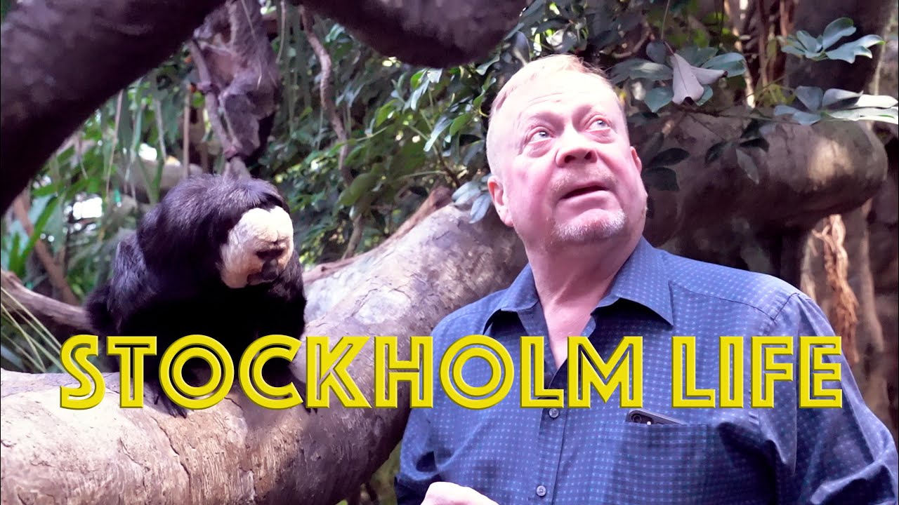 Vågar du följa med in i Skansen-Akvariet? Jonas Wahlström visar upp ormar, apor & spindlar!