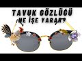 Tavuk gözlükleri ne işe yarar? İlk nezaman ve kim buldu?