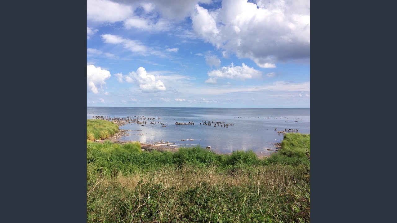 Watch Breathe the Air on YouTube Watch Breathe the Air on YouTube