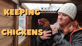 Starting A Chicken Flock On Our UK Allotment. Coops And Run. Keeping Chickens Safe.