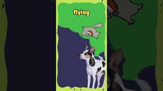 Fun Facts with Simon Kids: Super Gross Night Creatures